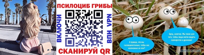 Галлюциногенные грибы Cubensis  mega зеркало  Очёр 